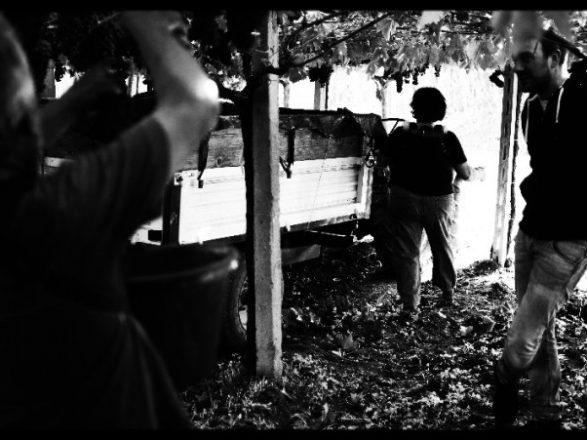 678_0_4981887_673691-2