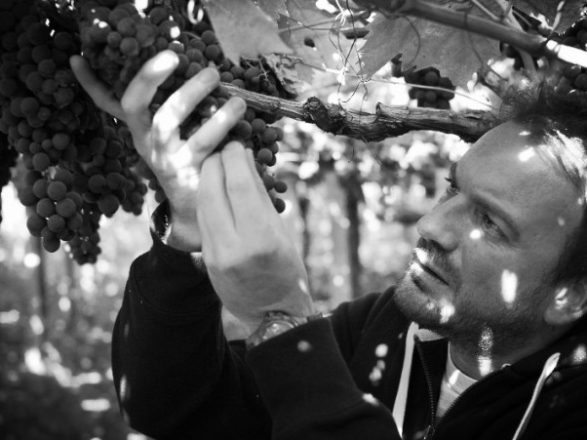 678_0_4981901_673691-2